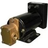 GROCO Oil Change Pumps 3gpm Reversing Gear Pump, 3/8"