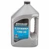 QUICKSILVER 4 Stroke Oil Premium SAE 10W-30 4-Stroke Marine Engine Oil, Gallon