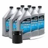 QUICKSILVER 4 Stroke Oil 8M0169548 10W30 4-Stroke Mercury 175 HP-300 HP V6 (3.4 L) & V8 (4.6 L) Oil Change Kit